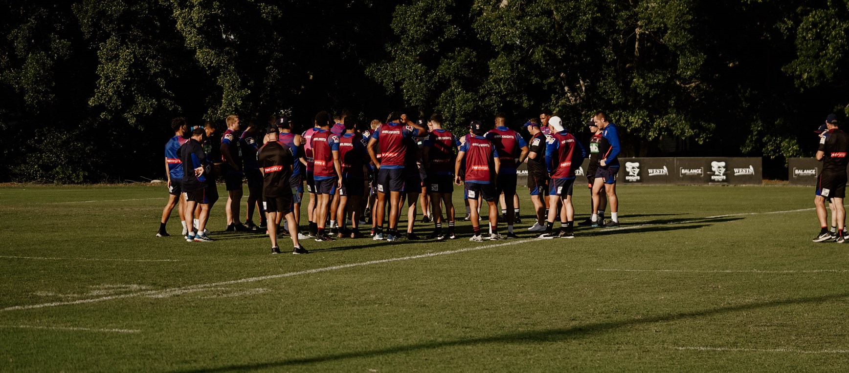 Shots: Knights hit the training paddock in preparation for the Roosters