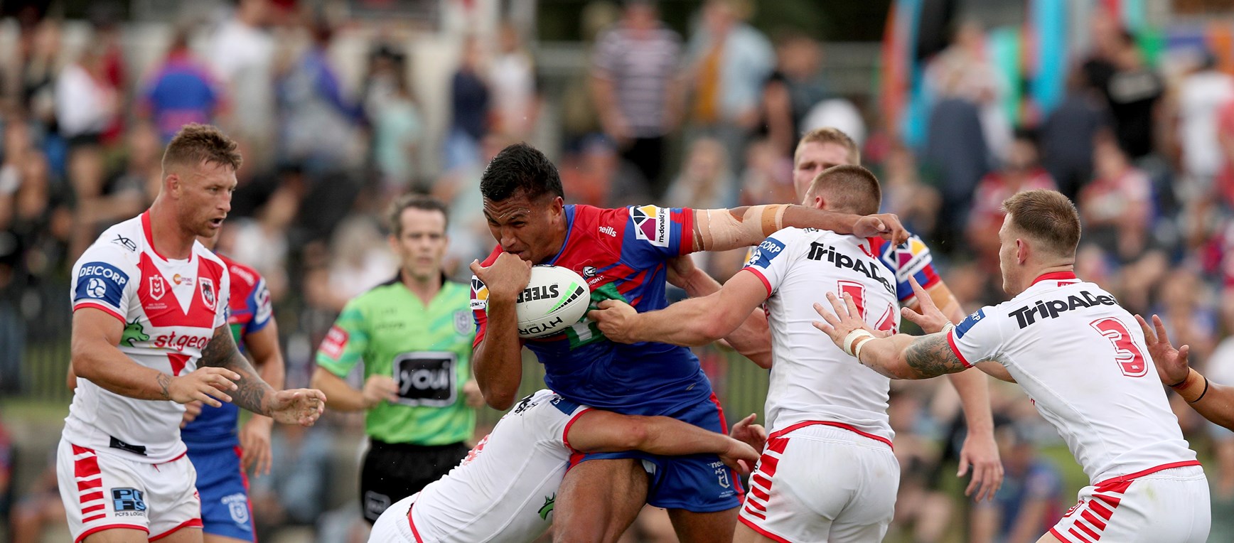 Best Shots: Dragons too good in Maitland