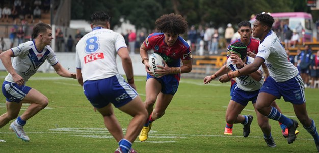 Knights defeated in Harold Matthews Cup Grand Final