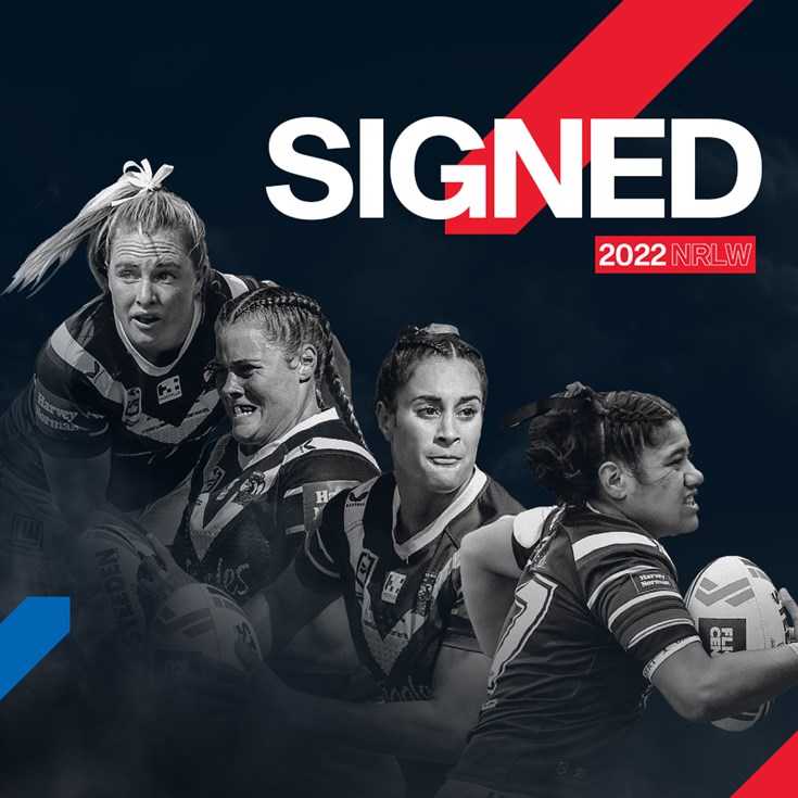 Knights announce more signings