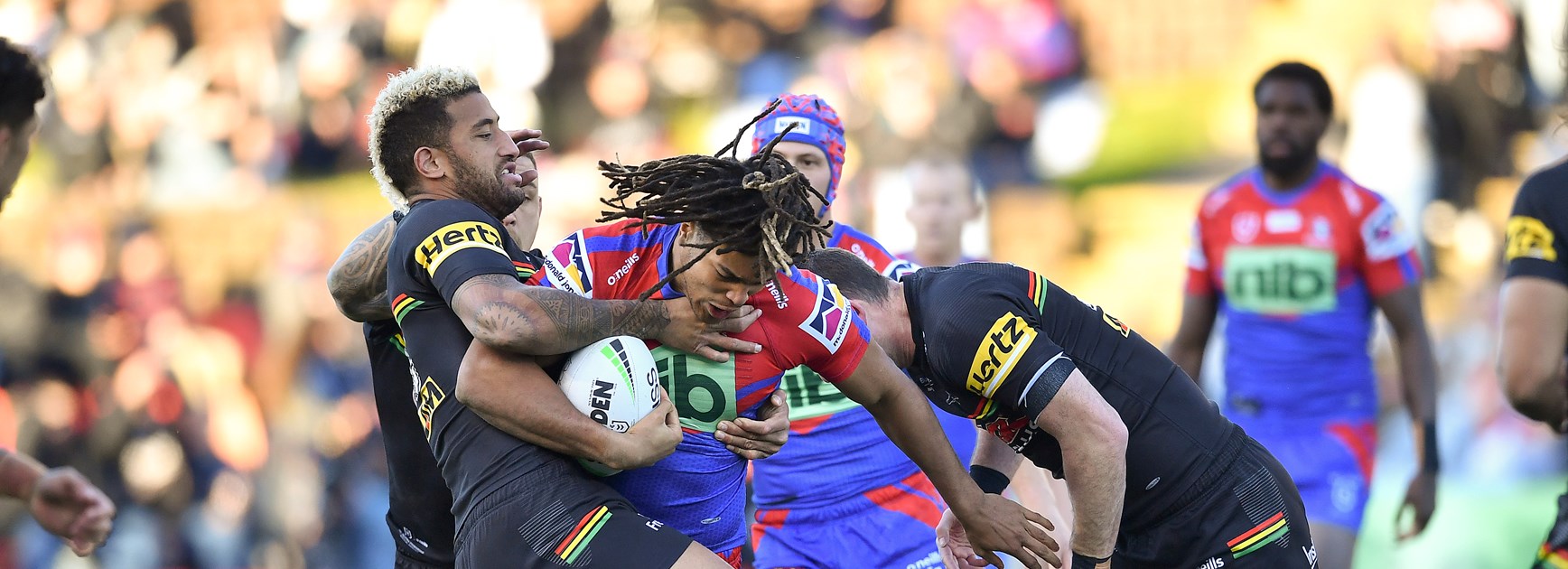 Knights handed defeat by the Panthers at home