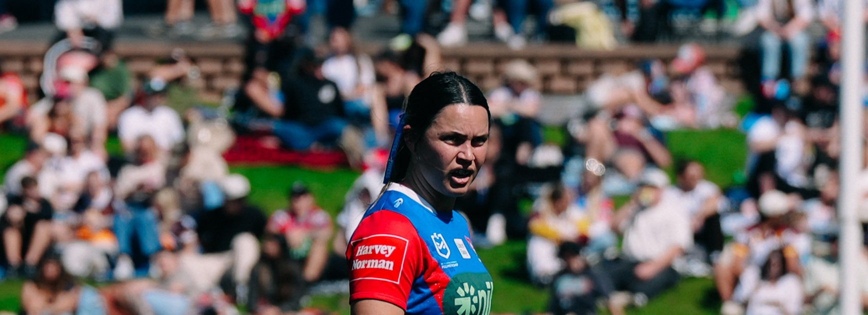 Fast-starting Knights run down by Broncos