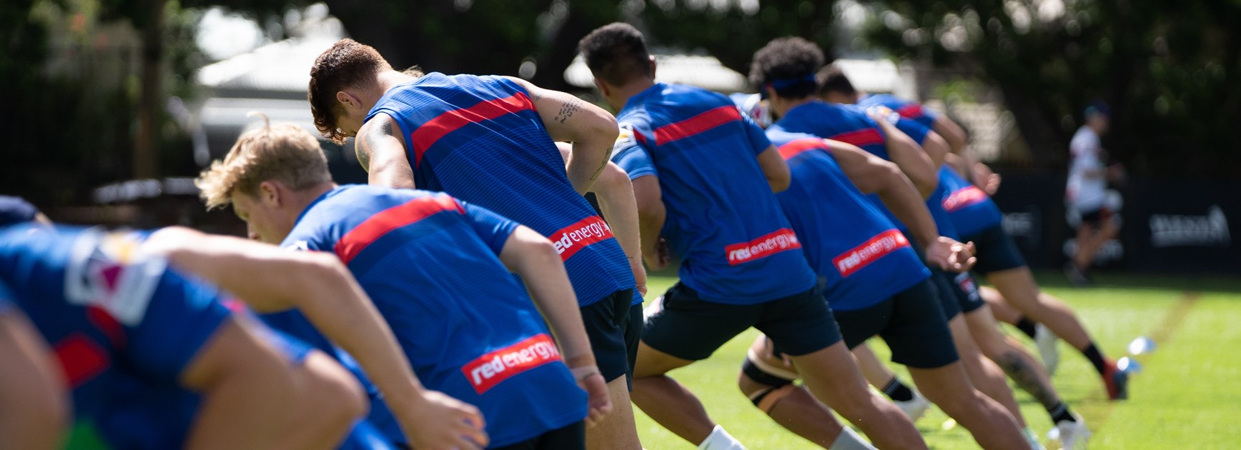 Fit and fast! Knights pre-season standouts revealed