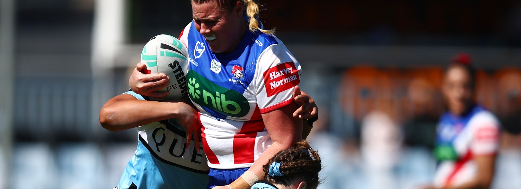 Knights downed by fast finishing Sharks