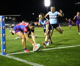 Match Highlights: Knights vs Sharks