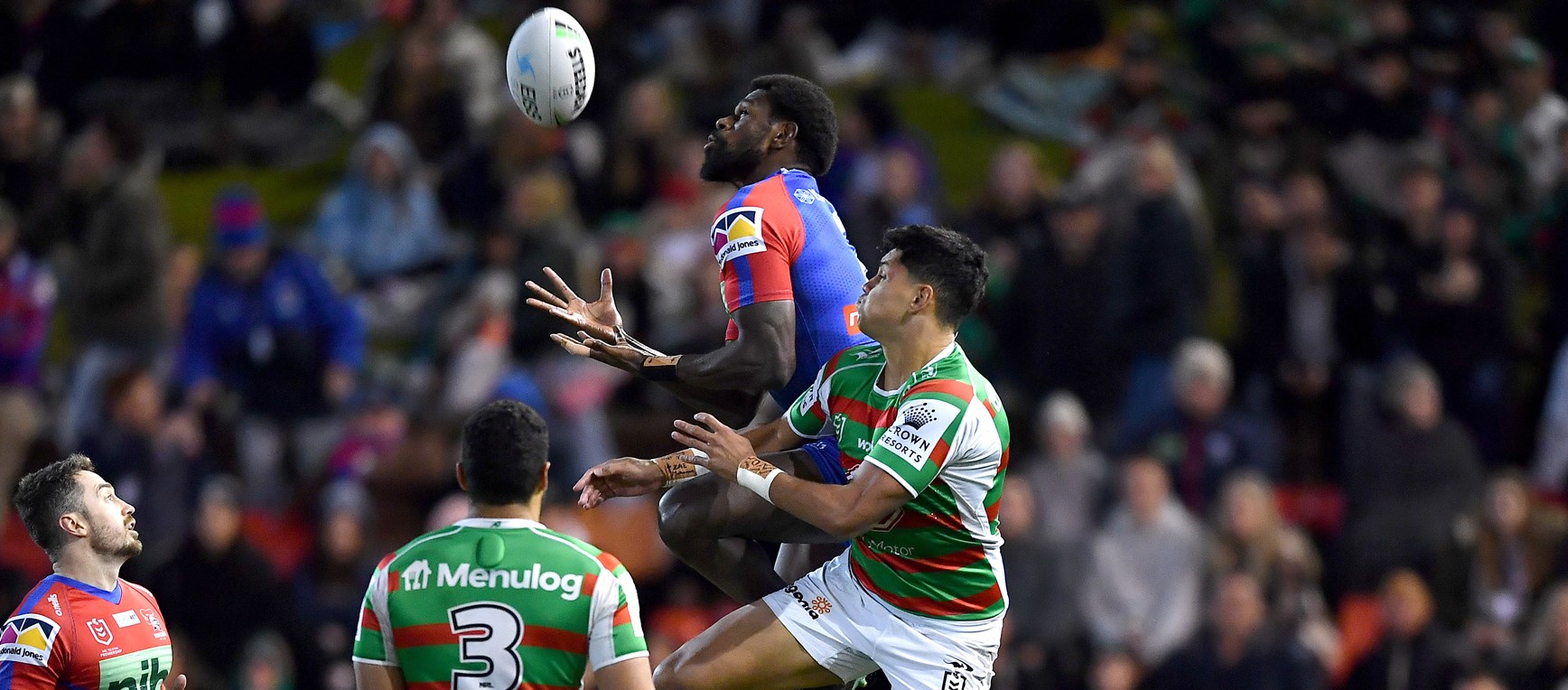 Gallery: Knights defeated by Souths
