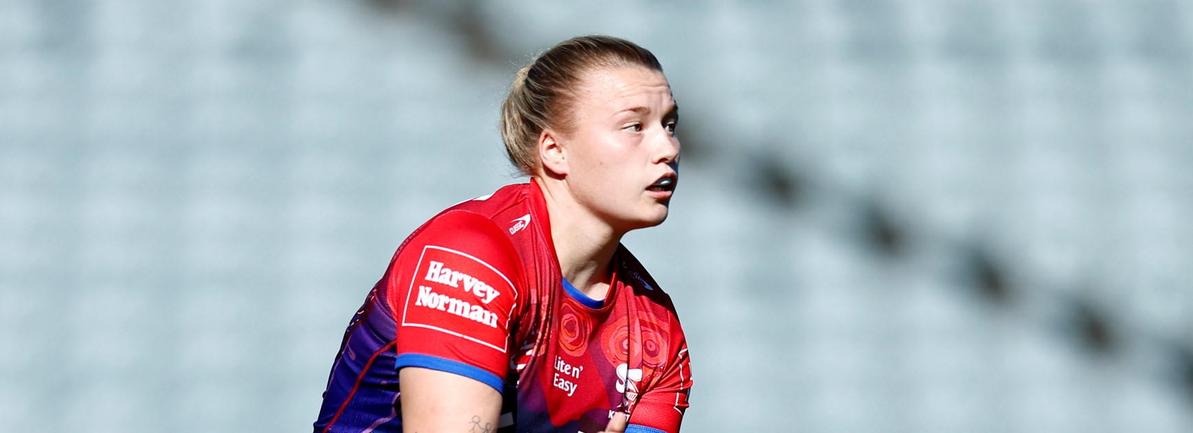 Knights defeated on the Central Coast by the Roosters