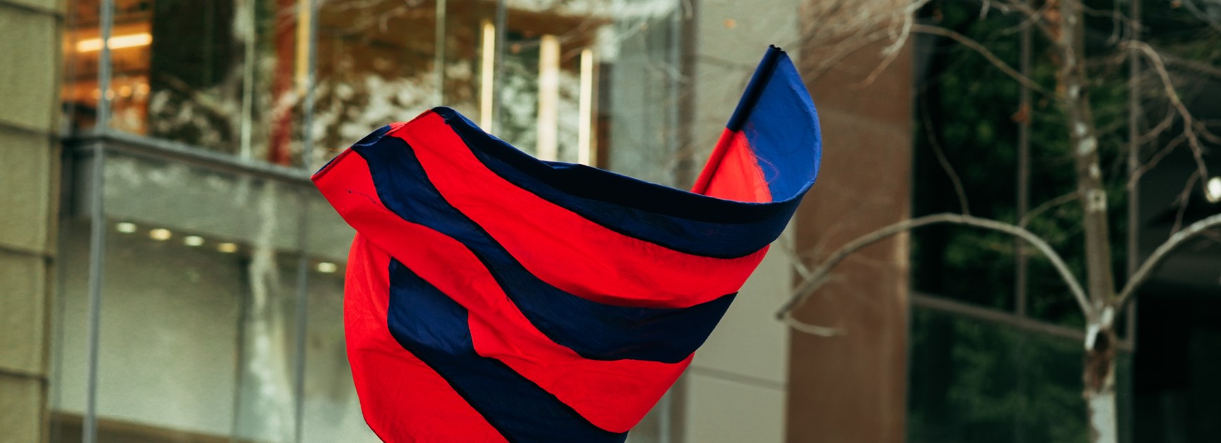 Newcastle Knights Statement: Peter Parr