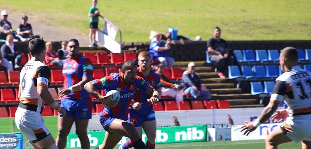 Reserve Grade Knights lose to Tigers